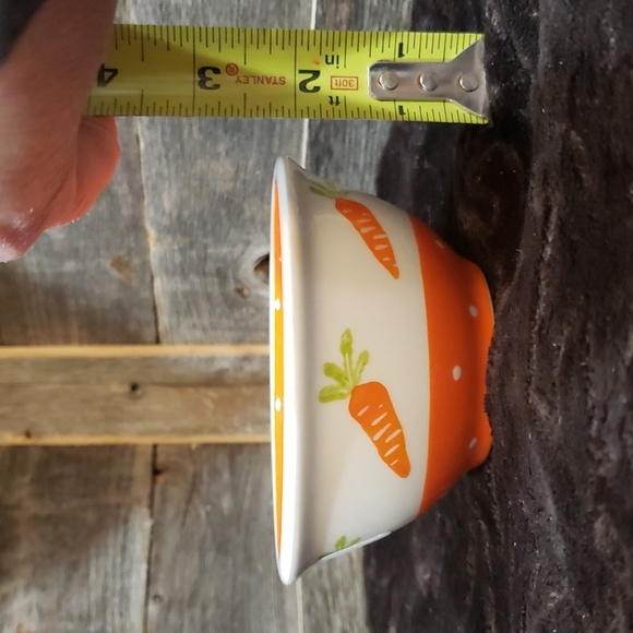 2 pk carrot spring ceramic bowl set NWT - Picture 4 of 4